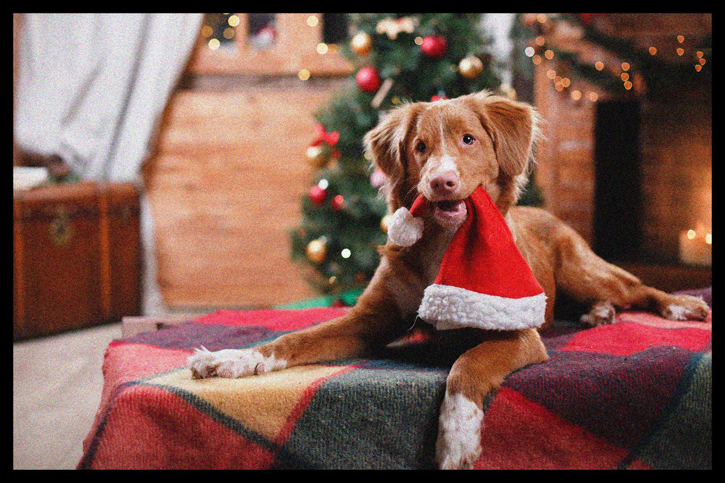 Deurmat CHRISTMAS 1v3